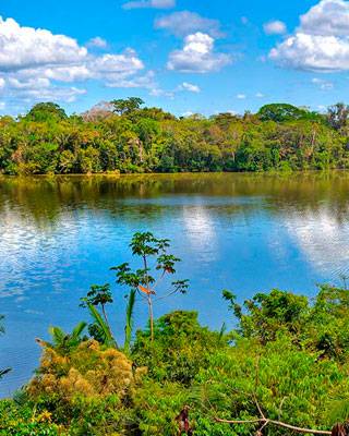 Tambopata Tours